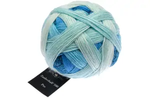 Zauberball 100 2507