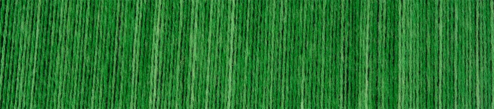 Schoppel Seniorita 2606 Green, yes, green